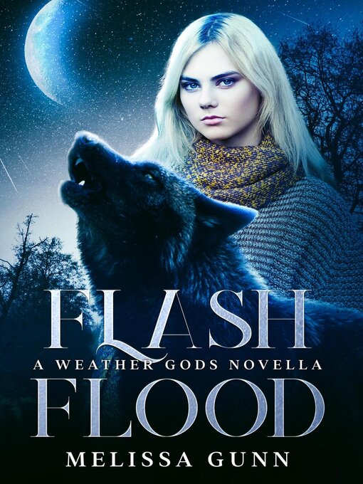 Title details for Flash Flood by Melissa Gunn - Available